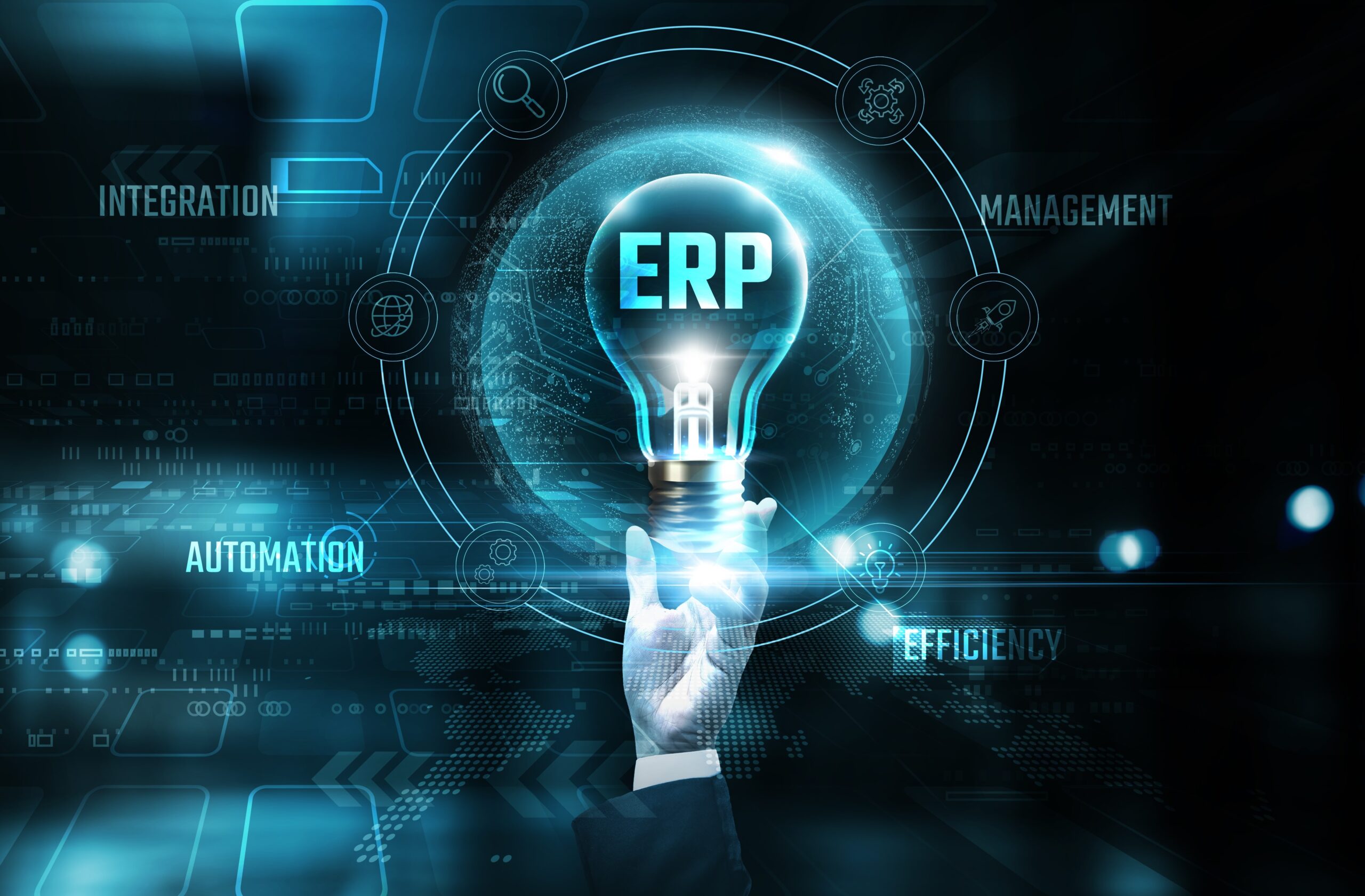 ERP & Custom Software